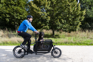 Egal ob allein, mit Hund, Freunden, Familie, Kollegen...Gelegenheiten, fürs STADTRADELN Fahrradkilometer zu sammeln, gibt es viele.