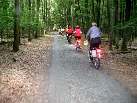 Durch den Wald