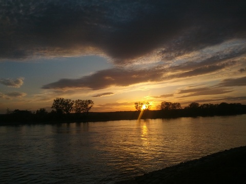 Abendstimmung auf dem Kühkopf