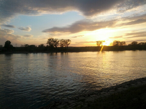 Sonnenuntergang auf dem Kühkopf